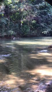 Finca en Doradal ( Hacienda Napoles y Rio Claro ) - 7