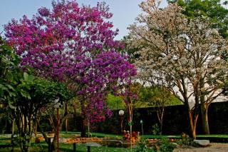 Villa Buonabitacolo - 1