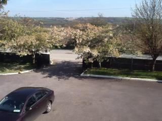 Carrigshane House - 4