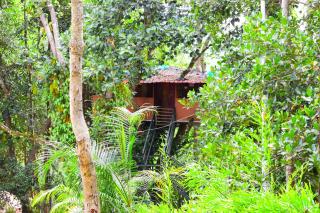 The Brook Resorts & Spa - Yercaud - 5