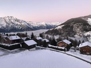 Ravishing Apartment in La Tzoumaz in Verbier - La Tzoumaz - 4
