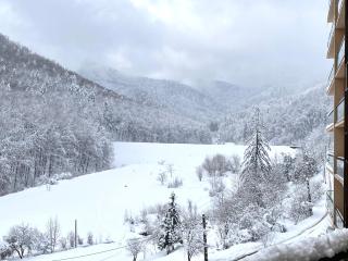 Forest View Oasis - Braşov - 6