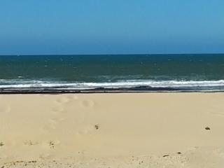 L'Océnoa - Mimizan-Plage - 9