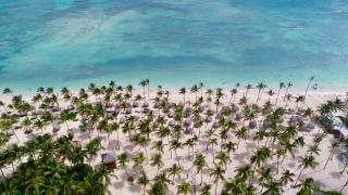 Catalonia Punta Cana - All Inclusive - Punta Cana - 5