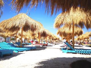ALMA Distrikt - Mamaia - 5