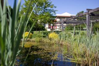 Hotel-Restaurant Liebnitzmühle - Raabs an der Thaya - 7