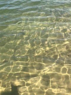 Leśna 6 - House with a garden - 1