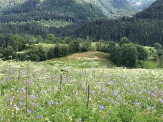 B&B Pichler Casa - Castello di Fiemme - 9