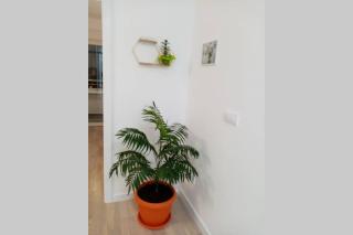 Stan, Apartman Eleven-Elf Tuzla centar, NOVO - Tuzla - 6