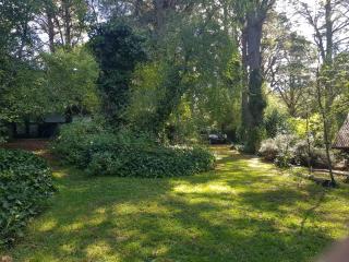 Aldea del bosque - Villa Ventana - 3