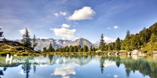 Alp Chalet Appartement - Kappl - 4