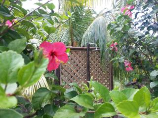 Zanboza Guesthouse - 4
