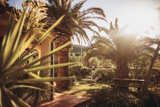 Residence il Mandorlo - Lacona - 7