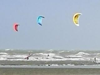 Zeester en koffie. - Oostduinkerke-Bad - 4