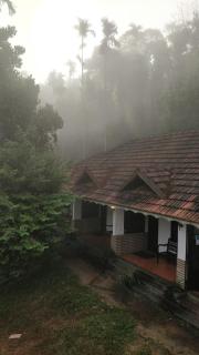 Hill Rows Estate By GreenEscapes - Vythiri - 4
