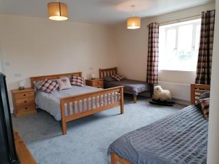 Lovaton Farmhouse - Okehampton - 3