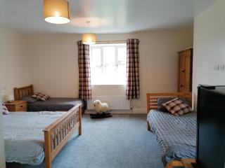 Lovaton Farmhouse - Okehampton - 1
