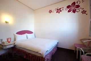 Traveler Hotel Taitung - Città di Taitung - 0