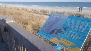 Charming Condo 2min Walk From The Famous Boardwalk - Myrtle Beach - 7
