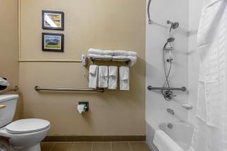 Comfort Inn & Suites Montgomery East Carmichael Rd - Montgomery - 1