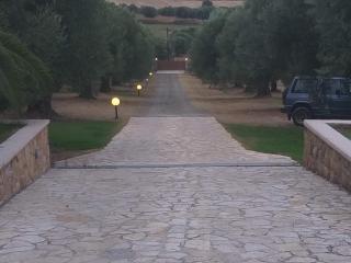 Villa Achilleos - Possidi - 4