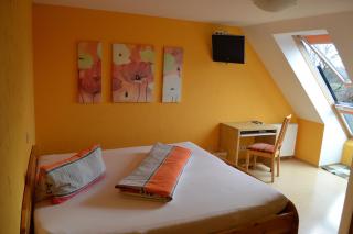 Gasthof Hotel Traube - Oberndorf - 1
