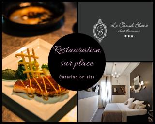 Logis Hotel Restaurant Le Cheval Blanc - Bléré - 3