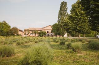 Agriturismo Il Capitolo - 9