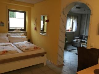 Ferienwohnung Weisbrod, nur private Buchungen - Bräunlingen - 1