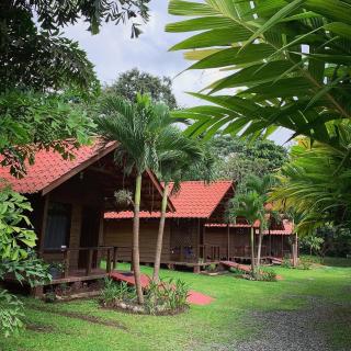 La Fortuna Waterfall Bungalows - Fortuna - 5