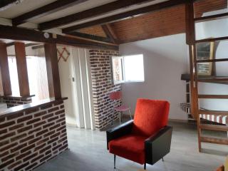 La Petite maison en Sologne - Salbris - 3