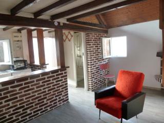 La Petite maison en Sologne - Salbris - 2