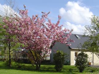 Gîte Paul et Rosalia - Manneville-la-Raoult - 0