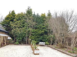 Wyvern Apartment - Yeovil - 2