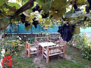 holiday home - Borjomi - 3
