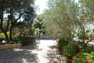 Apartments Josipa - Mandre - 6