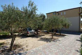 Apartments Josipa - Mandre - 2