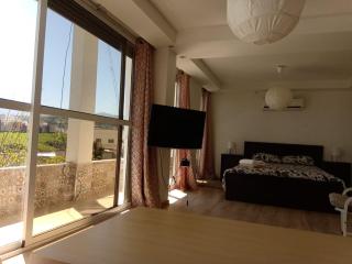 Taza Apartment with view park and restaurant - 1