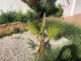 Chalet Embalse Bermejales - Arenas del Rey - 5