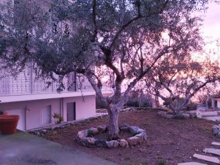 Blue Yard Apartments - Kalamata - 8