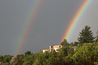 2 Views at Tasman - 2