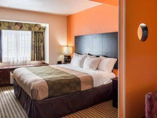 Econo Lodge Inn & Suites Natchitoches - Natchitoches - 8