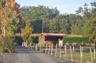Nid Douillet - 6