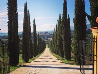 Fattoria Casagrande - Rignano sullʼArno - 8
