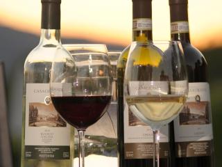 Fattoria Casagrande - 2