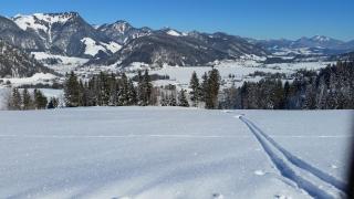 Hagerhof - Walchsee - 2
