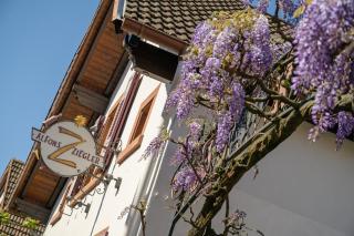 Das Palatinum - Sankt Martin - 1