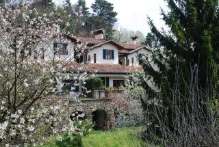 B&B Selve di Rogaro - Tremezzo - 0