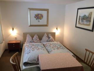 Pension am Waldesrand - Regen - 1
