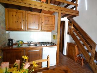 With pool and air conditioning - Montaione - 8